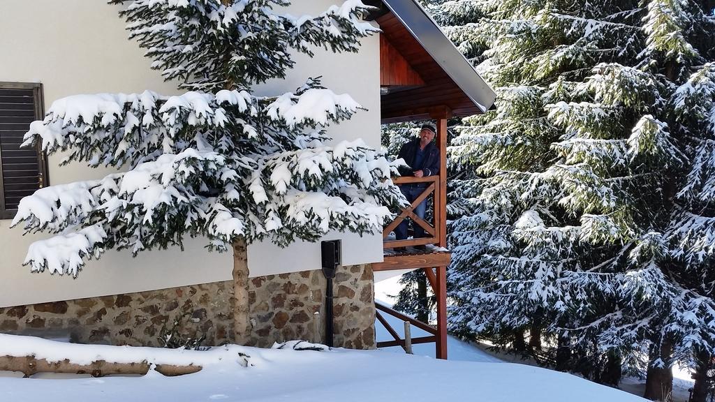Holiday Home Relax Kopaonik Pokój zdjęcie