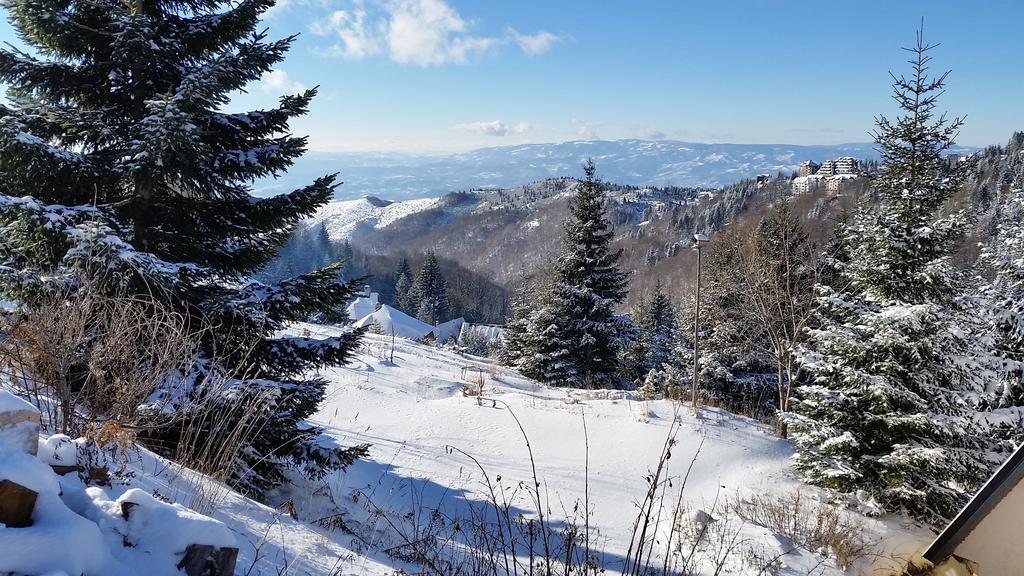 Holiday Home Relax Kopaonik Pokój zdjęcie